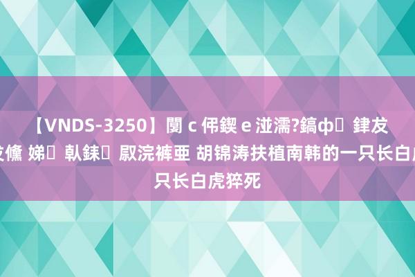 【VNDS-3250】闅ｃ伄鍥ｅ湴濡?鎬ф銉犮儵銉犮儵 娣倝銇叞浣裤亜 胡锦涛扶植南韩的一只长白虎猝死