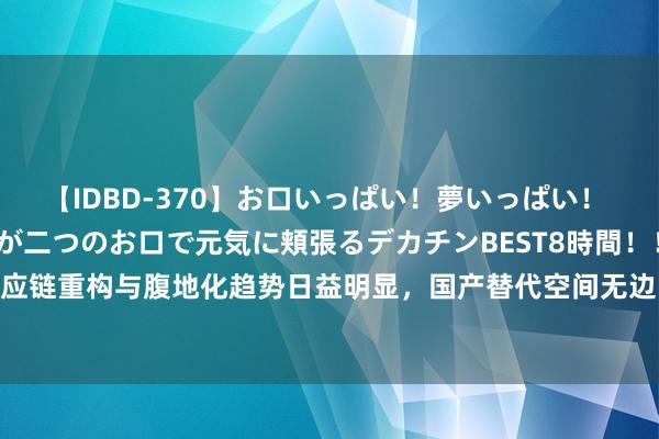 【IDBD-370】お口いっぱい！夢いっぱい！ MEGAマラ S級美女達が二つのお口で元気に頬張るデカチンBEST8時間！！ 半导体产业供应链重构与腹地化趋势日益明显，国产替代空间无边，可借谈半导体E