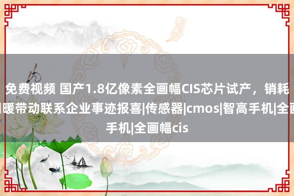 免费视频 国产1.8亿像素全画幅CIS芯片试产，销耗电子回暖带动联系企业事迹报喜|传感器|cmos|智高手机|全画幅cis