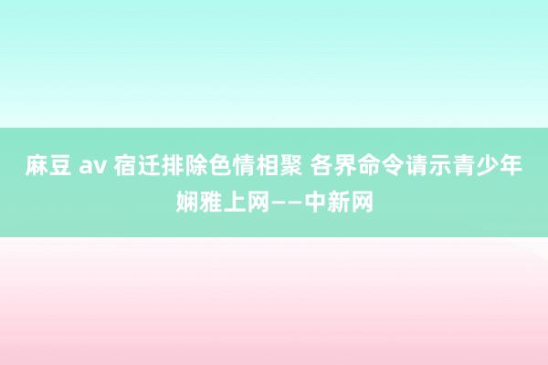 麻豆 av 宿迁排除色情相聚 各界命令请示青少年娴雅上网——中新网