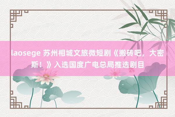 laosege 苏州相城文旅微短剧《搬砖吧，大密斯！》入选国度广电总局推选剧目