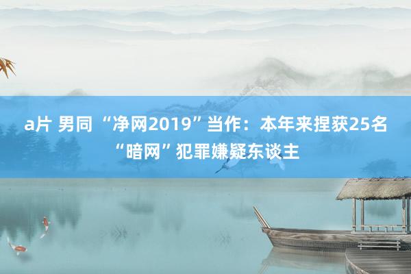 a片 男同 “净网2019”当作：本年来捏获25名“暗网”犯罪嫌疑东谈主