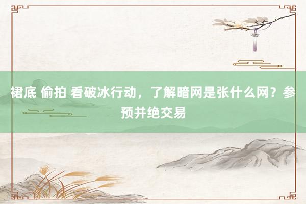 裙底 偷拍 看破冰行动，了解暗网是张什么网？参预并绝交易